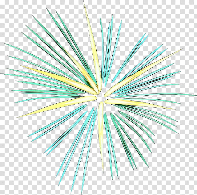 Independence Day Drawing, Fireworks, Firecracker, Silhouette, New Year, Green, Line, Symmetry transparent background PNG clipart