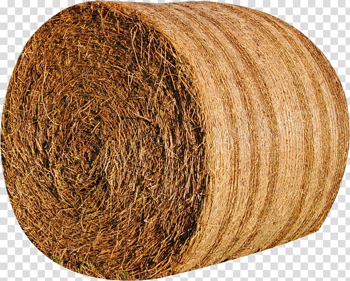 Flowvella Wool, Agriculture, Texas, Cattle, Hay, Farm, Live, Pennsylvania Farm Show transparent background PNG clipart