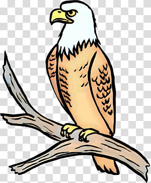Library, Pop Art, Retro, Vintage, Bald Eagle, Hawk, Coloring Book, Drawing transparent background PNG clipart thumbnail