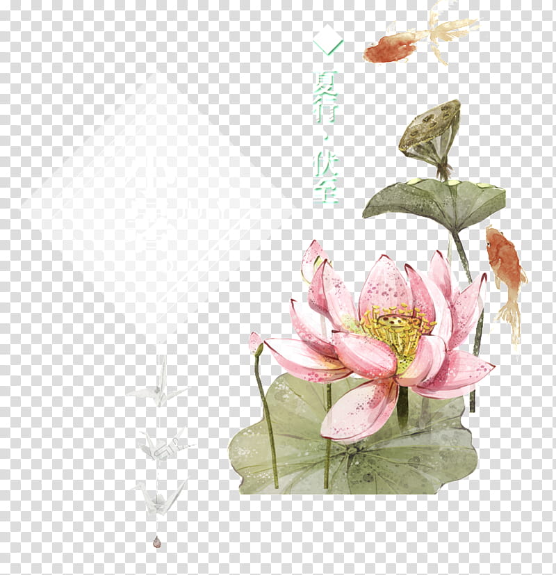 Flowers, Floral Design, Poster, Nymphaea Nelumbo, Hanfu, Library, Vase, Plant transparent background PNG clipart