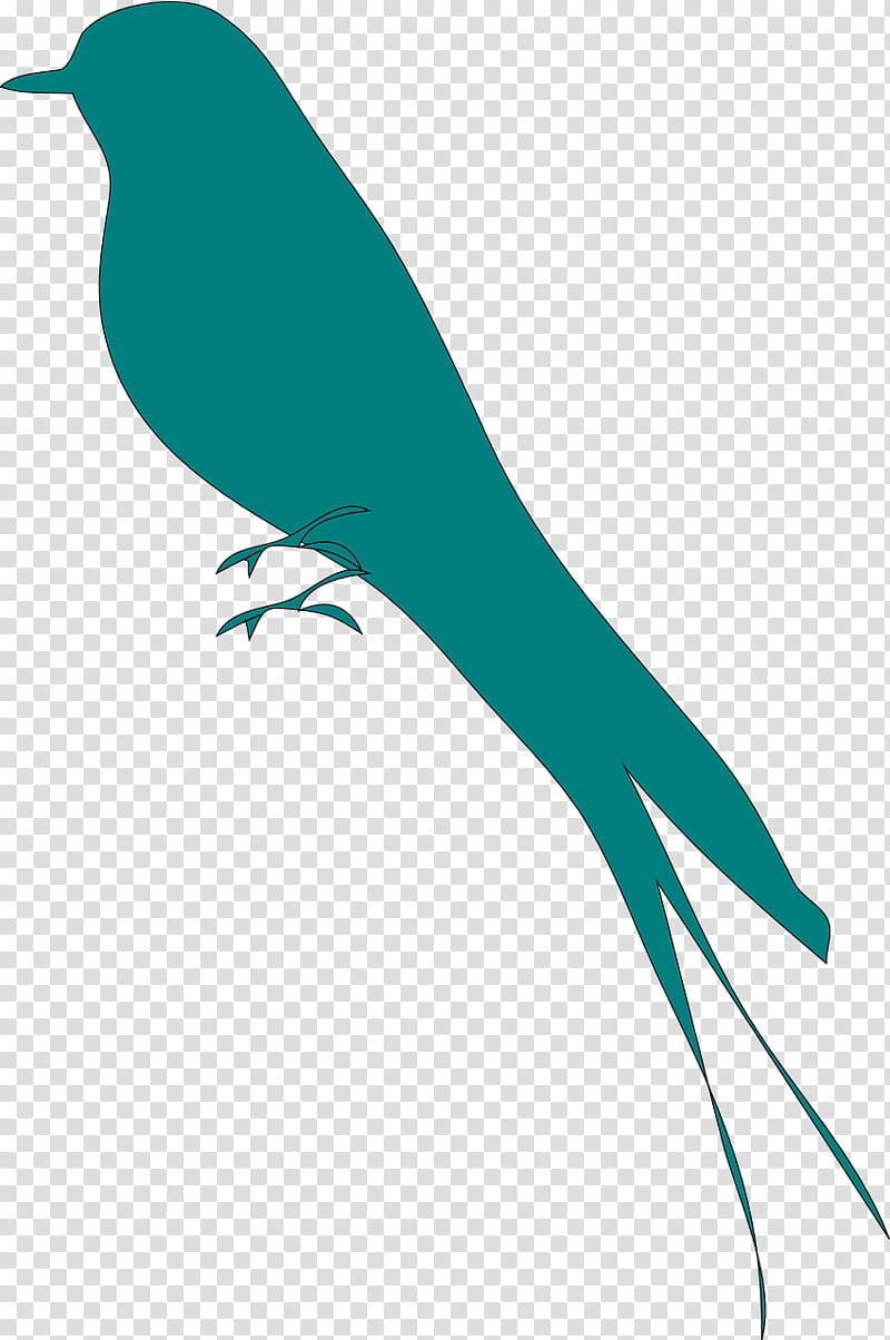 Robin Bird, Swallow, Silhouette, European Robin, Beak, Bird Nest, Cuteness, Animal transparent background PNG clipart