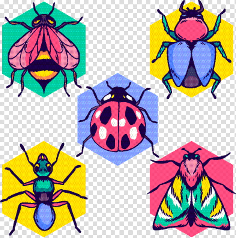 Symmetry Insect, Line, Organism, Beetle, Jewel Beetles, Jewel Bugs transparent background PNG clipart