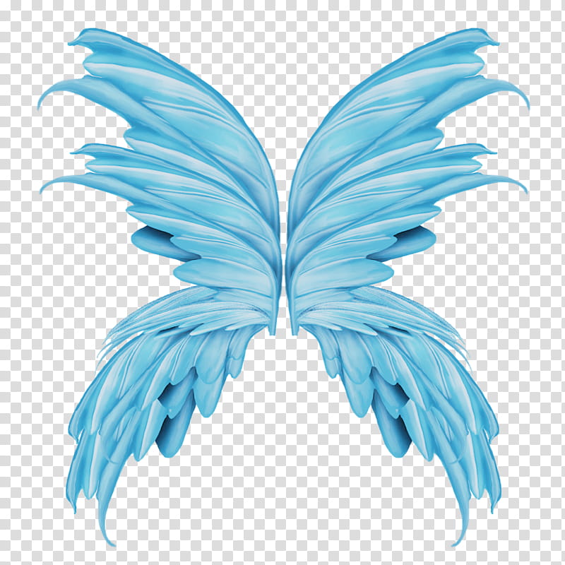 Wings Blue Fairy Wings Art Transparent Background Png Clipart Hiclipart