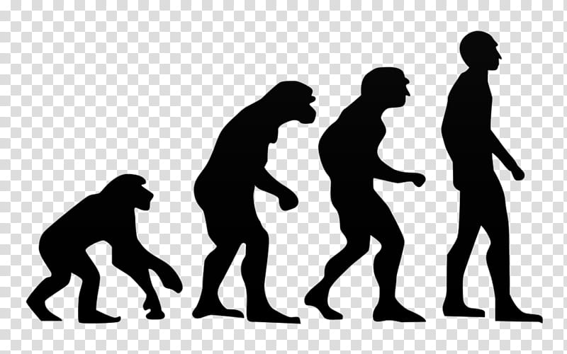 Brain, Neanderthal, Human, Human Evolution, Evolutionary Psychology, Bipedalism, Evolutionary Biology, Evolution Of The Brain transparent background PNG clipart