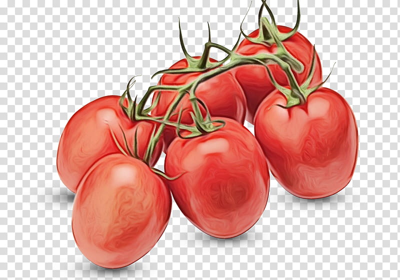 Tomato, Watercolor, Paint, Wet Ink, Natural Foods, Fruit, Local Food, Solanum transparent background PNG clipart