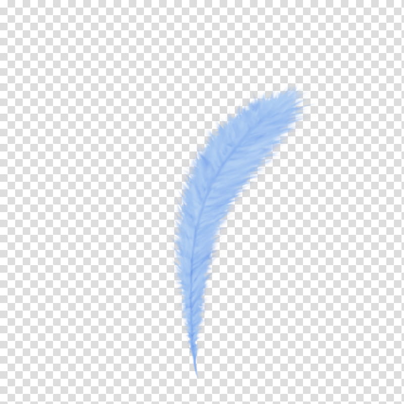 Feathers, white feather art transparent background PNG clipart