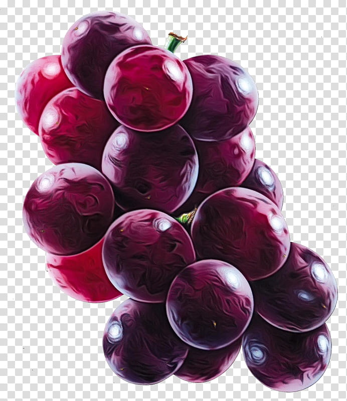 grape fruit seedless fruit grapevine family food, Watercolor, Paint, Wet Ink, Purple, Plant, Superfood, Vitis transparent background PNG clipart