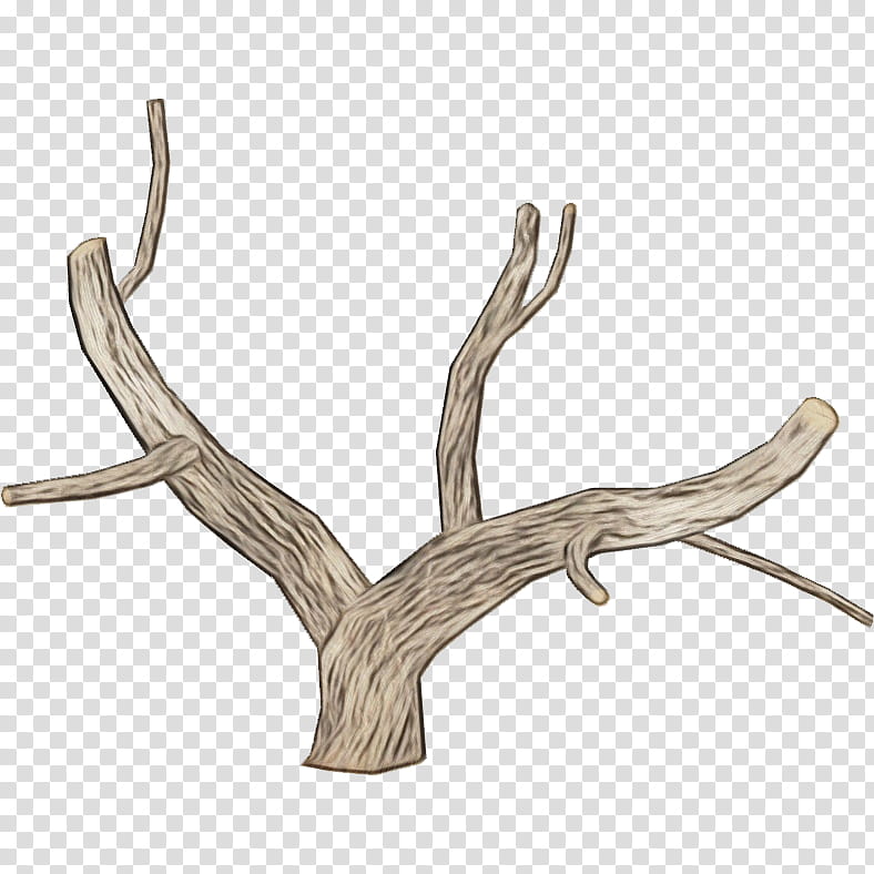 Twig, Deer, Antler, Horn, Branch, Wood, Tree, Plant transparent background PNG clipart