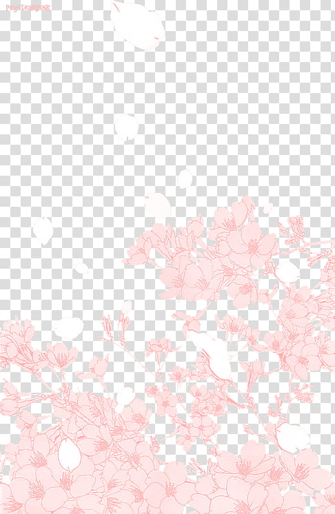 BIG SHARE Bts edition, pink and white flowers illustration transparent background PNG clipart