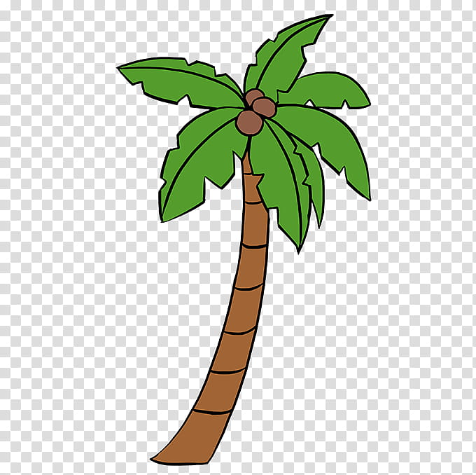 Coconut Tree Drawing, Palm Trees, Tutorial, Cartoon, Trunk, Watercolor Painting, Plants, Leaf transparent background PNG clipart