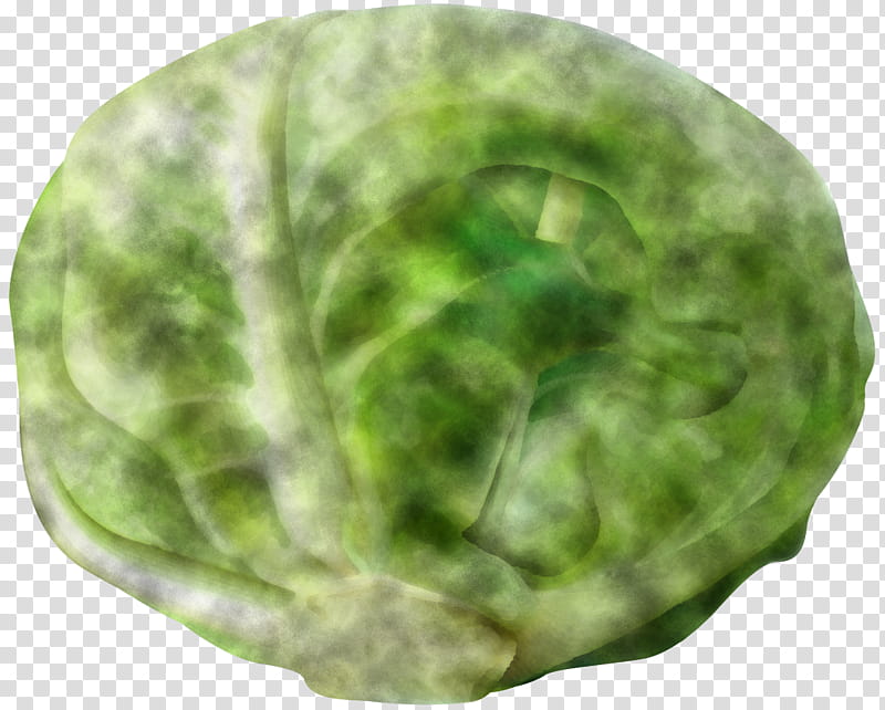 green cabbage leaf lettuce plant, Vegetable, Leaf Vegetable, Plate, Wild Cabbage transparent background PNG clipart