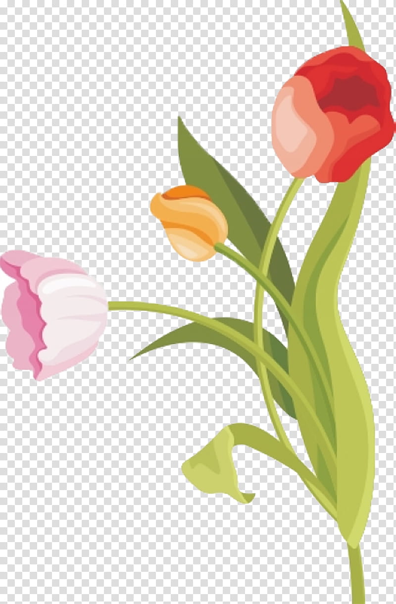 Watercolor Floral, Tulip, Flower, Watercolor Painting, Drawing, Floral Design, cdr, Raster Graphics transparent background PNG clipart