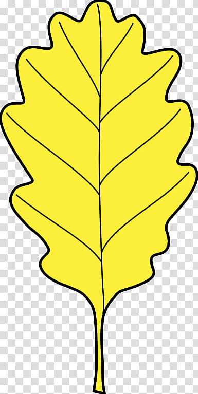 Oak Tree Drawing, Leaf, Eichenlaub, Sessile Oak, Branch, Oak Leaf Cluster, Heraldry, Plant Stem transparent background PNG clipart