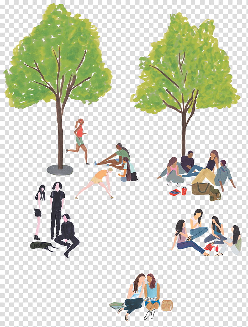 Its Not Like Its A Secret Tree, Cartoon, Feeling, Information Technology, Chris Hemsworth, Isla Fisher, Recreation, Plant transparent background PNG clipart