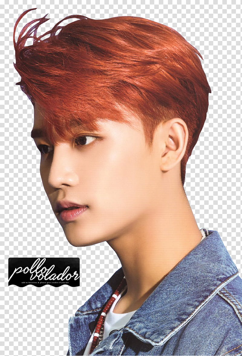 NCT Season Greetings  part, unknown celebrity facing sideways transparent background PNG clipart