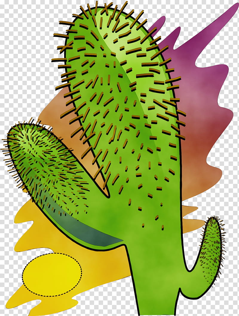 Watercolor Flower, Paint, Wet Ink, Desert, Cactus, Plants, Vegetation, Shrub transparent background PNG clipart