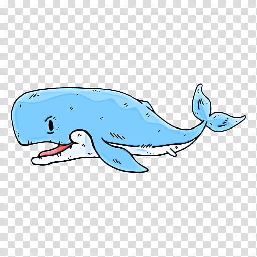 marine mammal cetacea bottlenose dolphin whale dolphin, Sperm Whale, Animal Figure, Bowhead, Blue Whale, Humpback Whale transparent background PNG clipart