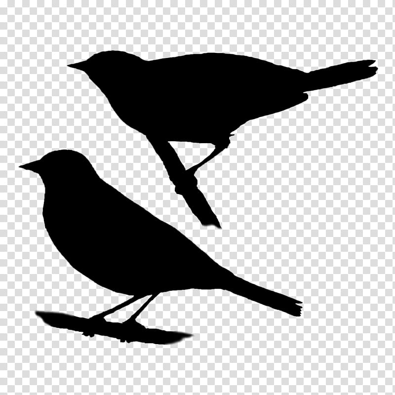Family Silhouette, Beak, American Crow, Bird, Common Raven, New Caledonian Crow, American Sparrows, Common Blackbird transparent background PNG clipart