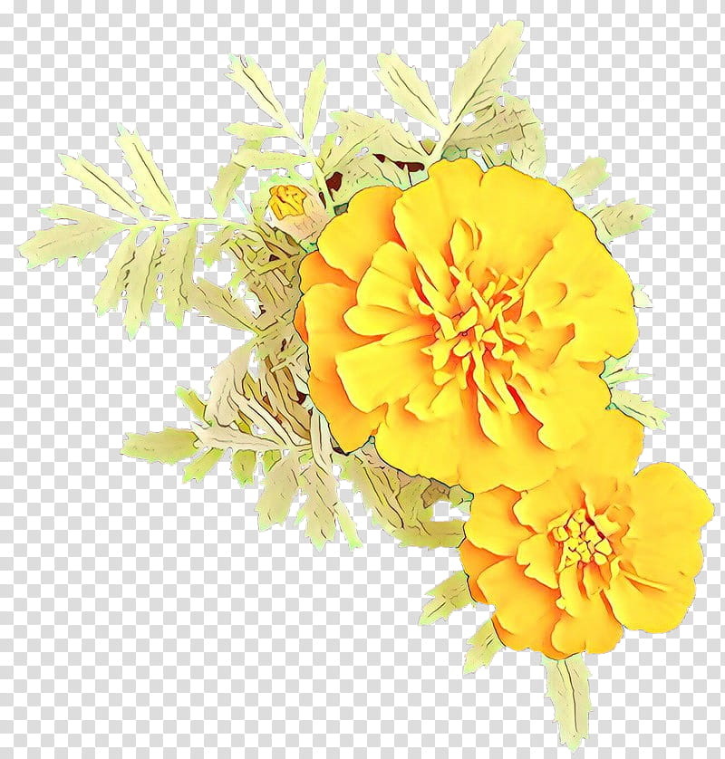 yellow flower tagetes petal plant, Cartoon, English Marigold, Cut Flowers, Flowering Plant transparent background PNG clipart