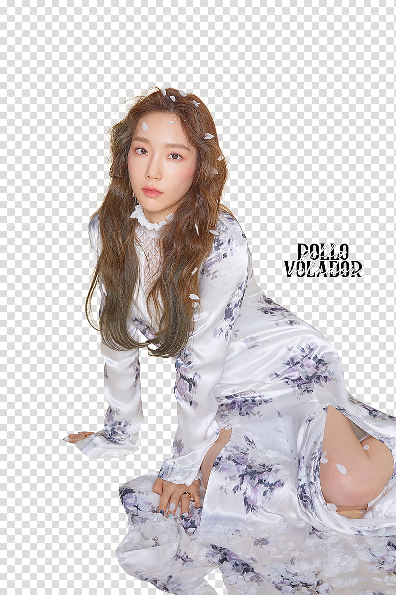 TaeYeon Four Seasons transparent background PNG clipart
