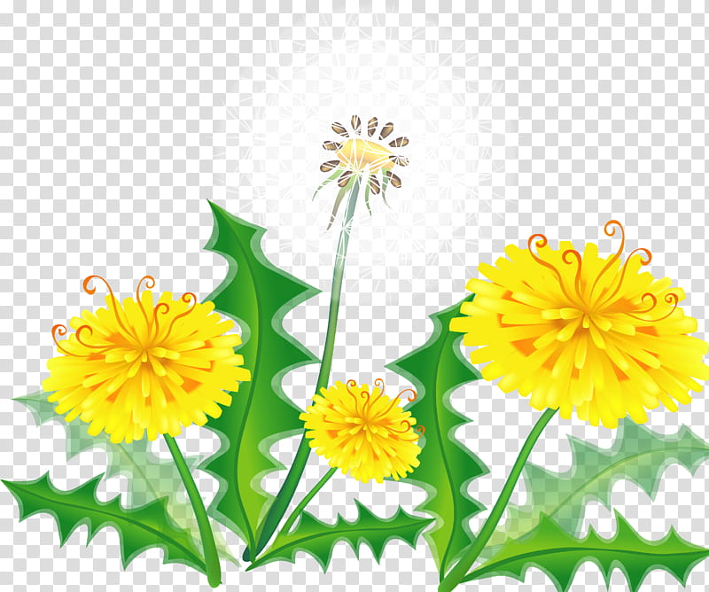 Drawing Of Family, BORDERS AND FRAMES, Painting, Dandelion, Flower, Yellow, Plant, Sow Thistles transparent background PNG clipart