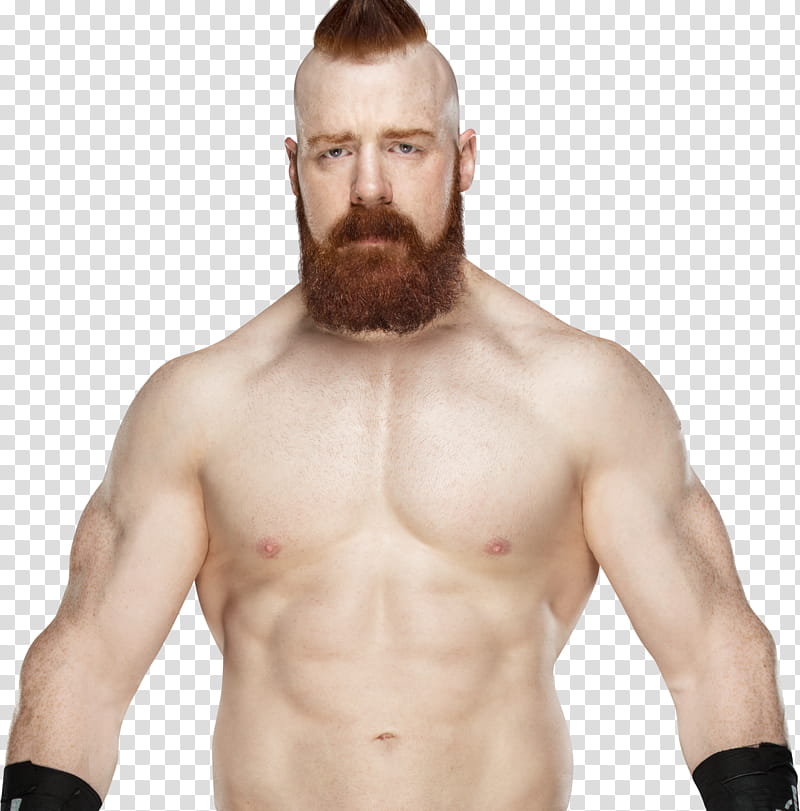 Sheamus  NEW transparent background PNG clipart