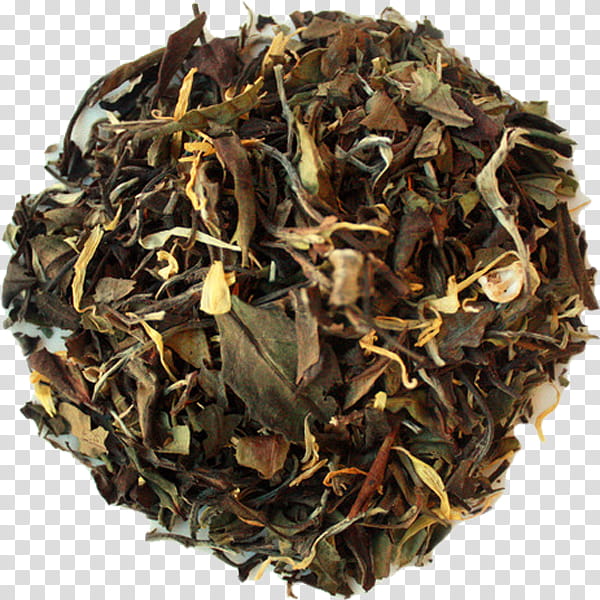 Leaf Green Tea, Dianhong, Darjeeling Tea, Assam Tea, Nilgiri Tea, Oolong, Lapsang Souchong, White Tea transparent background PNG clipart