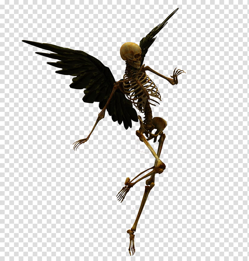 E S Angel of death, skeleton with wings illustration transparent background PNG clipart