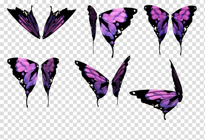 Daz Butterfly Wings, six black-and-purple butterflies collage transparent background PNG clipart