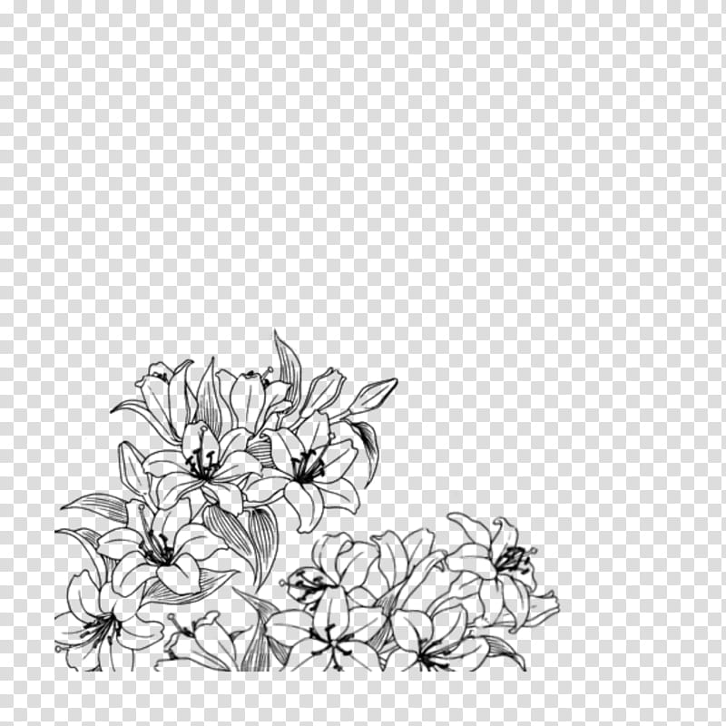 line art flower plant drawing coloring book, Blackandwhite, Wildflower, Petal transparent background PNG clipart