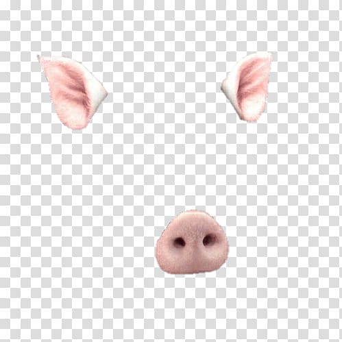 snapchat Filters Filtros o efectos de Snapchat, pink pig nose and ears art transparent background PNG clipart