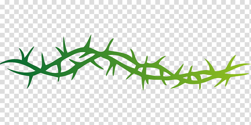 Rose Vine, Thorns Spines And Prickles, Cactus, Crown Of Thorns, Branch, Web Design, User Interface, Computer Software transparent background PNG clipart