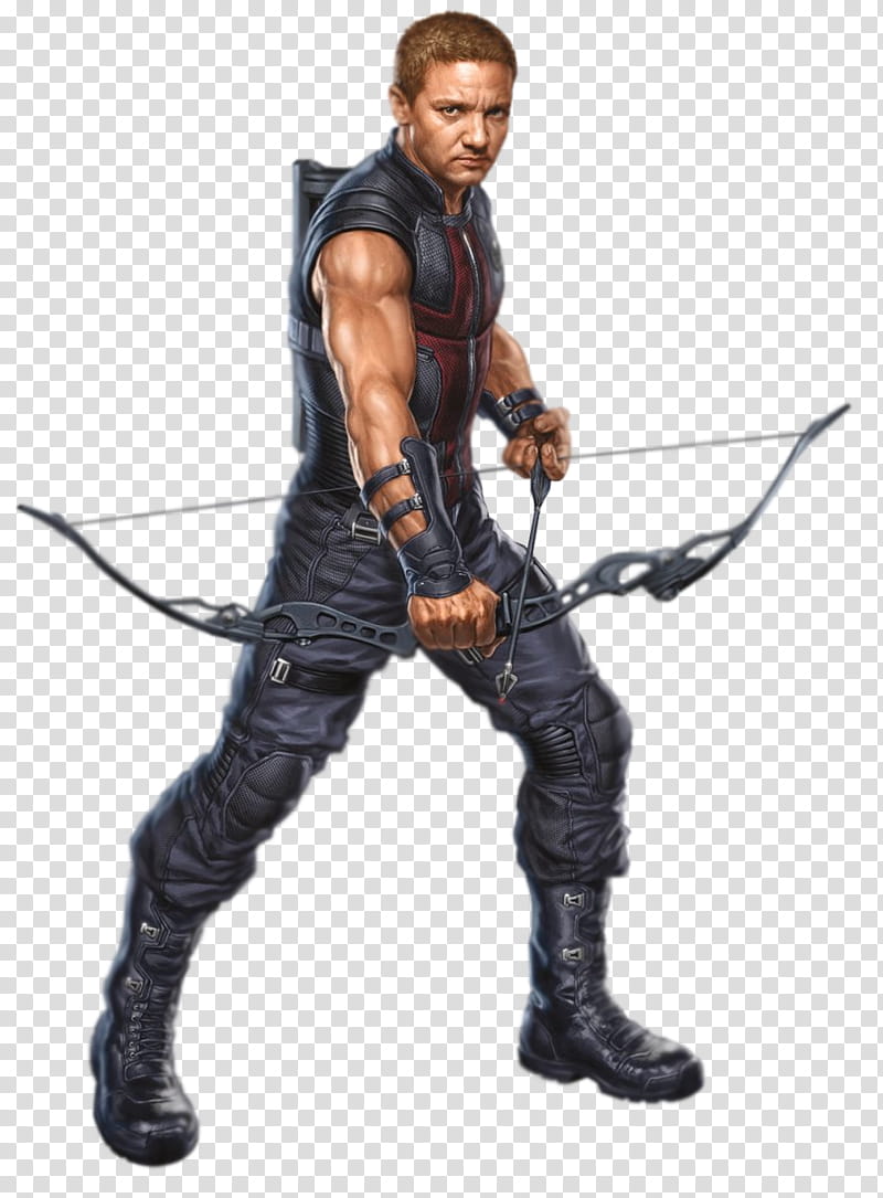 Hawkeye transparent background PNG clipart