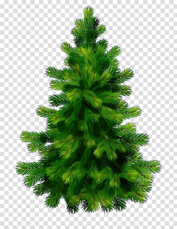 Christmas Black And White, Pine, Fir, Tree, Branch, Spruce, Eastern White Pine, Conifers transparent background PNG clipart