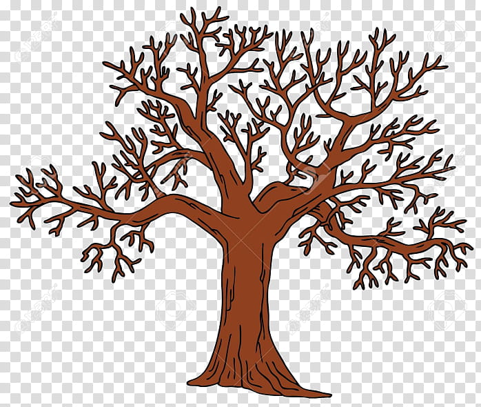 Oak Tree Silhouette, Leaf, Drawing, Branch, Shrub, Northern Red Oak, Cartoon, Trunk transparent background PNG clipart