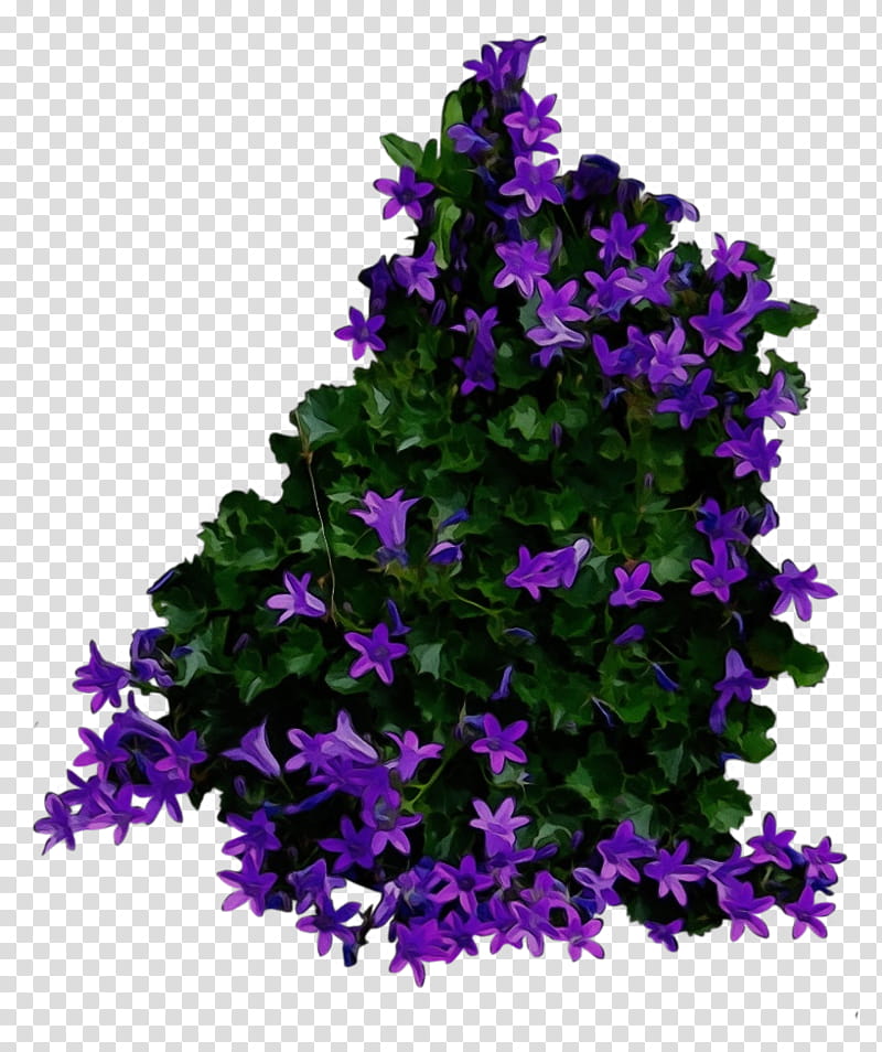 Purple Watercolor Flower, Paint, Wet Ink, Watercolor Painting, Bellflowers, Shrub, Blue, Featurepics transparent background PNG clipart