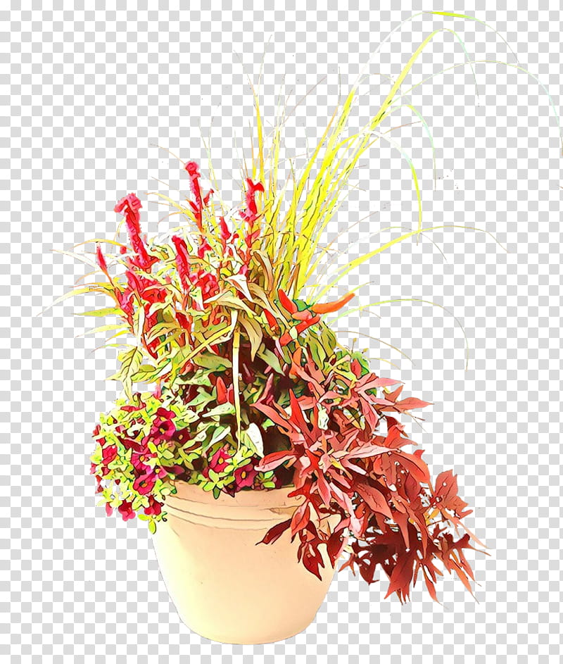 Family Tree Design, Floral Design, Flowerpot, Cut Flowers, Houseplant, Grass, Amaranth Family, Perennial Plant transparent background PNG clipart