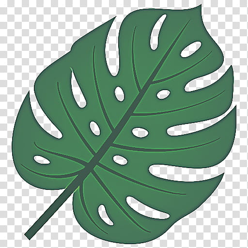 leaf monstera deliciosa green plant, Tree, Alismatales, Arum Family transparent background PNG clipart