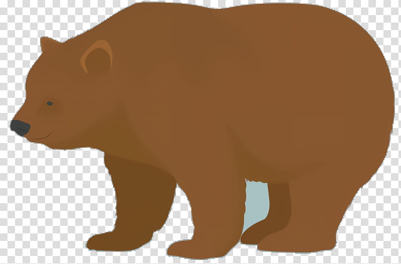 Bear, Grizzly Bear, Grizzly Bears, Snout, Animal, Brown Bear, Animal Figure, Wildlife transparent background PNG clipart