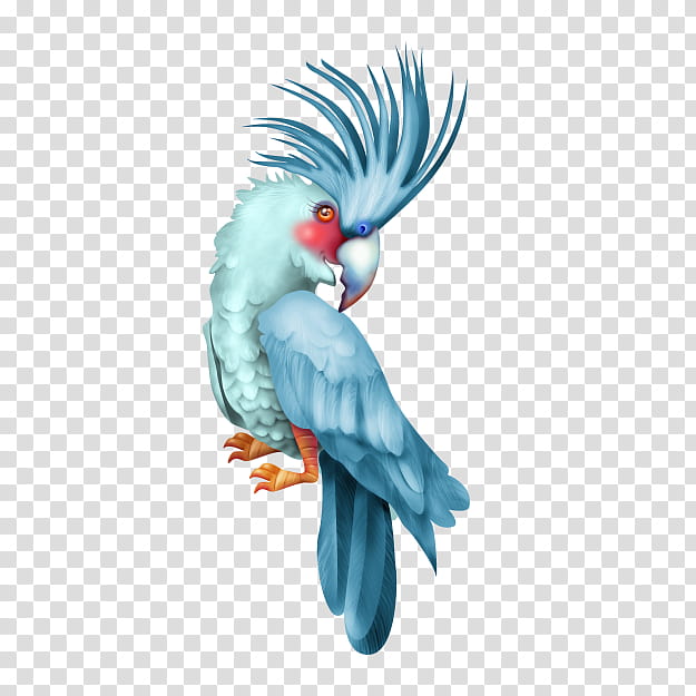 Bird Parrot, Budgerigar, Parakeet, Macaw, Feather, Pet, Animal, Net transparent background PNG clipart