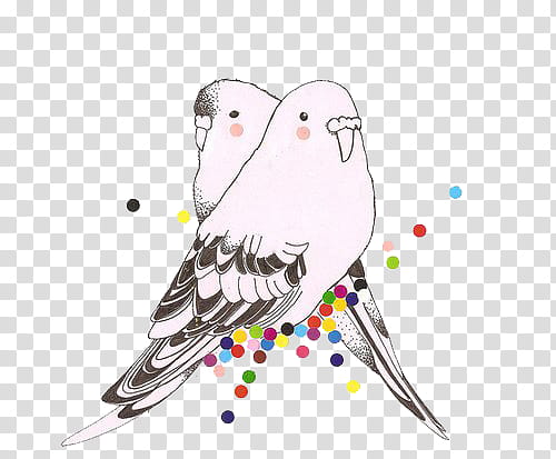 Nuevos y Bellos, two white-and-black budgerigars illustration transparent background PNG clipart