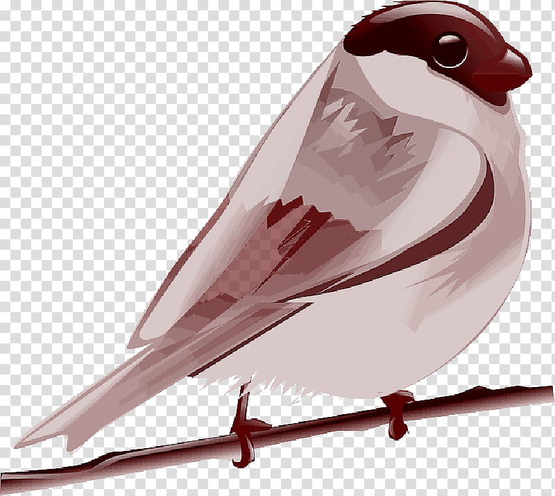 Bird Line Drawing, Parrot, Edible Birds Nest, Beak, Beeeater, Bird Nest, Line Art, Sparrow transparent background PNG clipart