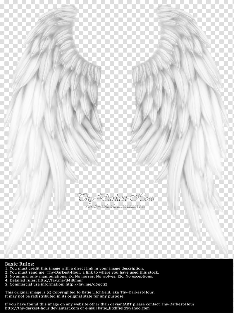 Daydream Wings White transparent background PNG clipart | HiClipart