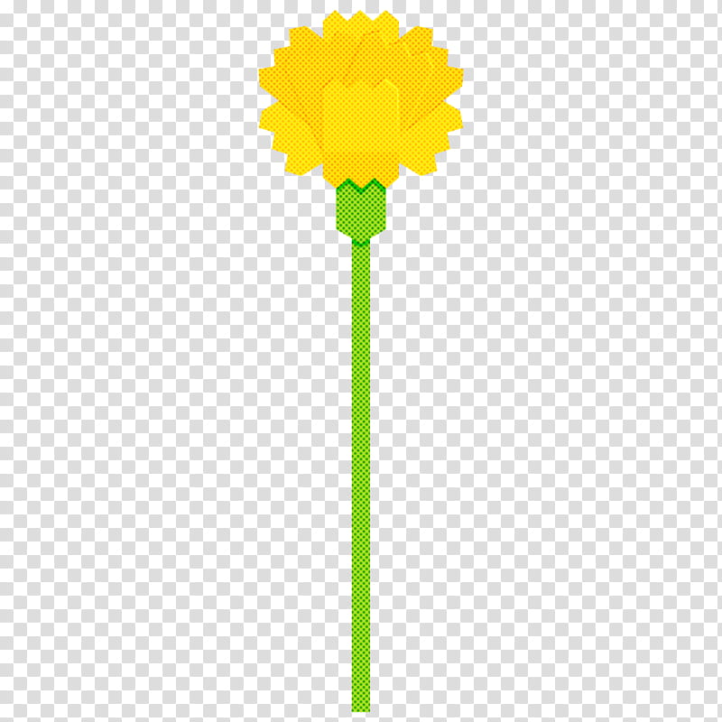 carnation flower, Yellow, Plant, Gerbera, Dandelion, Plant Stem transparent background PNG clipart