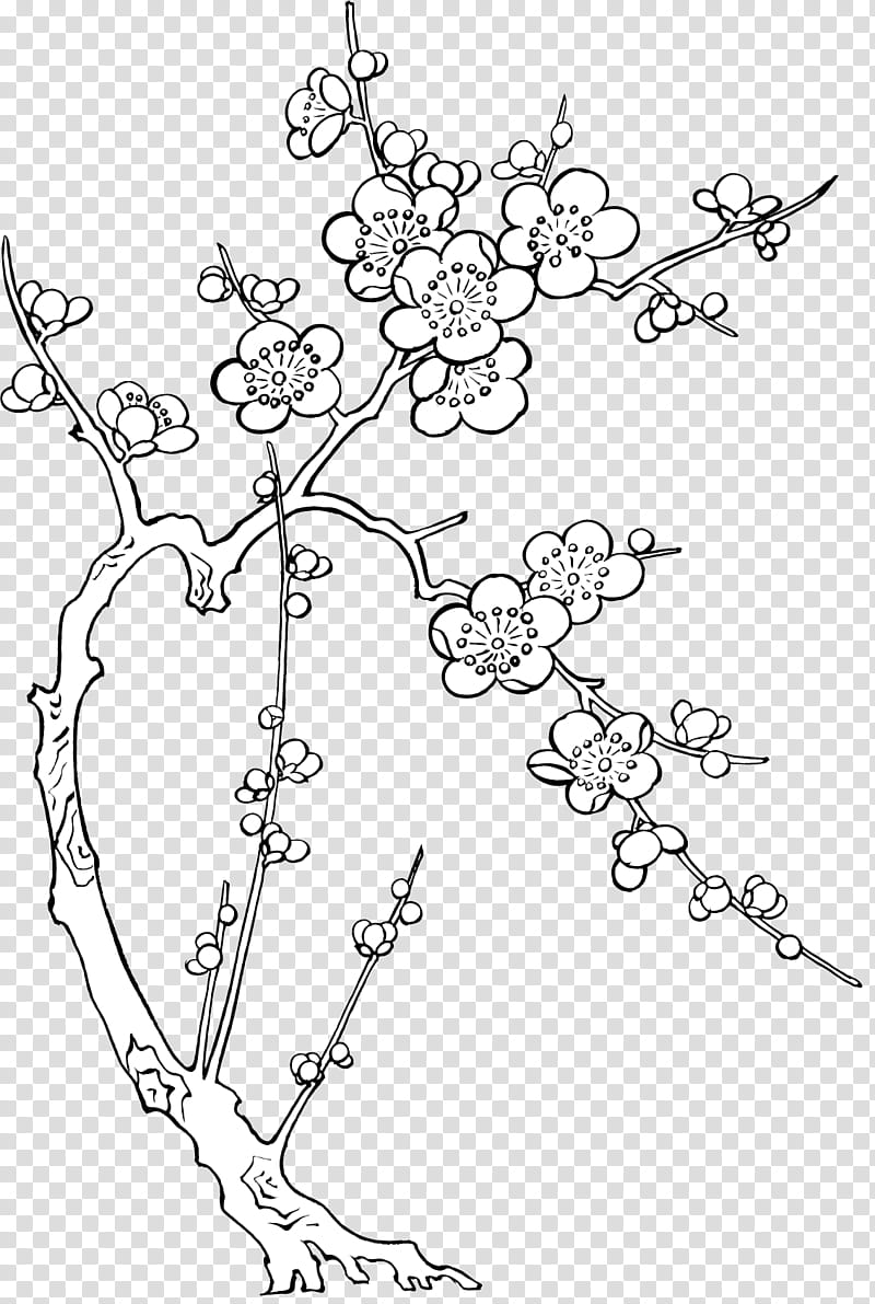 Lunar New Year, Painting, Drawing, Ochna Integerrima, Color, Symbol, Cherry Blossom, Line Art transparent background PNG clipart