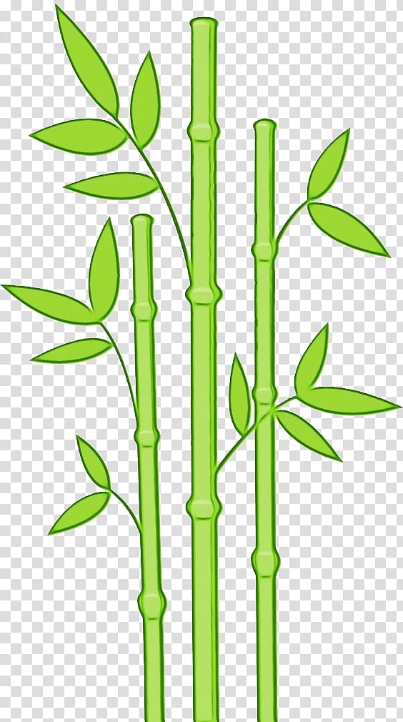 Family Tree, Plant Stem, Plants, Tropical Woody Bamboos, Leaf, Grasses, Flower, Nymphaea Nelumbo transparent background PNG clipart