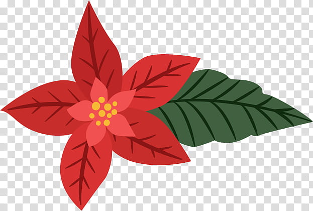 Christmas Graphics, red poinsettia art transparent background PNG clipart