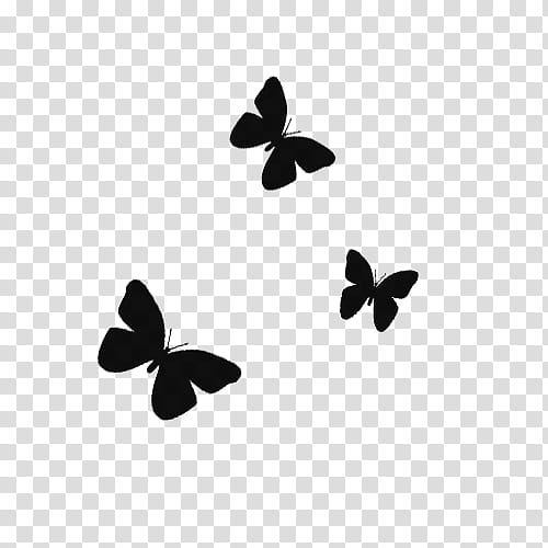 VARIADOS , three black butterflies illustration transparent background PNG clipart