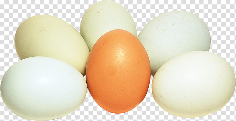 Egg, Egg White, Egg Bhurji, Boiled Egg, Food, Dietary Supplement, Chicken, Chicken Egg transparent background PNG clipart