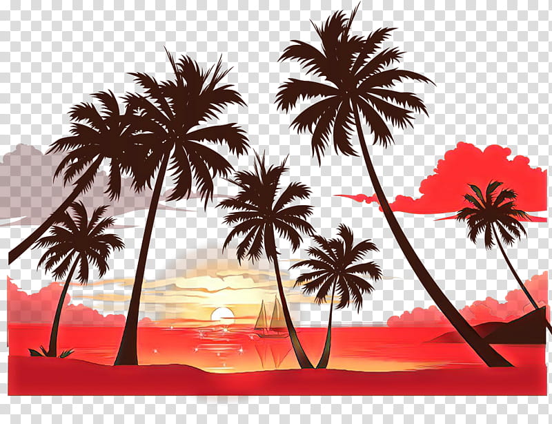 Summer Palm Tree, Palm Trees, Sunset, Coconut, Silhouette, Sunrise, Sticker, Arecales transparent background PNG clipart
